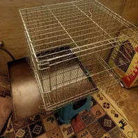 قفس پرنده بزرگ|لوازم جانبی حیوانات|قم, باغ شازده|دیوار