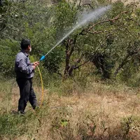 سم پاشی شخم زنی علف زنی وچاله کنی وچاله ستون فنس|خدمات باغبانی و درختکاری|مشکین‌دشت, |دیوار