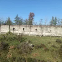 زمین مرغداری|فروش زمین و ملک کلنگی|سیاهکل, |دیوار