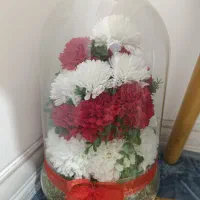 گل مصنوعی|گل مصنوعی|کرمان, |دیوار