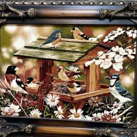 تابلو عکس زیبا و شیک