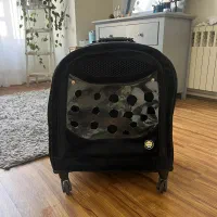 کوله پشتی سگ