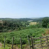 زمین باغی|فروش زمین و ملک کلنگی|سیاهکل, |دیوار