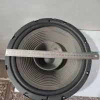 یک جفت میدرنج ویک ظبط