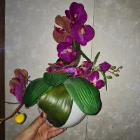 گل و گلدون|گل مصنوعی|مشهد, هنرستان|دیوار