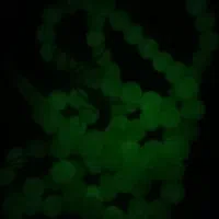 انواع.یکجا|کلکسیون اشیاء عتیقه|سهند, |دیوار