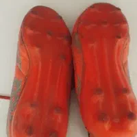 استوک 43