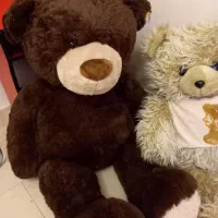 ۳ عدد خرس خارجی