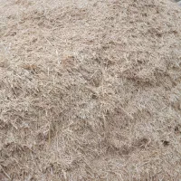 کاه لوبیا و کاه سفید