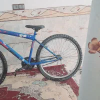 دوچرخه  ۲۶