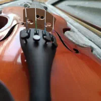 ویالون درحدنو|ویولن|اراک, |دیوار