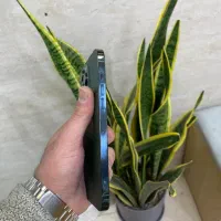 ۱۳پرومکس|موبایل|تهران, هوانیروز|دیوار