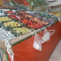 پالت میوه فروشی|حراج|کرج, فاز ۳ گوهردشت|دیوار