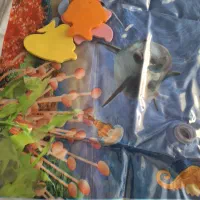 واتر مت|اسباببازی بچه|نظرآباد, رسالت|دیوار