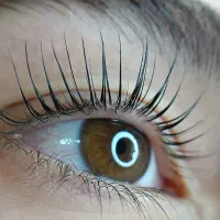 لیفت و لمینت مژه و ابرو ، بوتاکس تراپی|خدمات آرایشگری و زیبایی|مشهد, یاس|دیوار