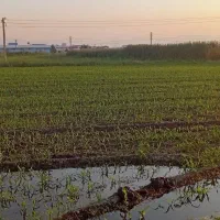 زمین برای احداث کارگاه وکارخانه درمنطقه صنعتی