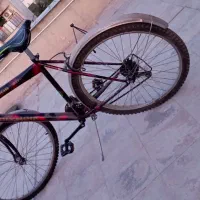 دوچرخه المپیا ۲۶