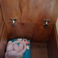 تخت دو طبقه کودک در حد نو|تخت و سرویس خواب|فردیس, شهرک ارم|دیوار