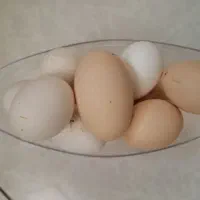 تخم مرغ بومی