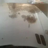 کاپوت استی ۲۰۶