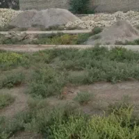 زمین فروشی