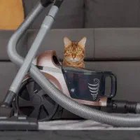 نظافتچی منزل