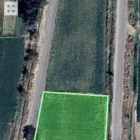 نیروی کار برای سبزی کاری  کشاورزی جیرفت