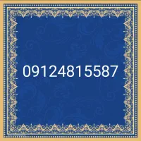 سیم کارت کد 481