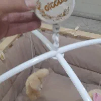 تخت نوزاد و روروک