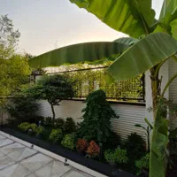 فروش ویلا استخر دار - محدوده نشتارود عباس آباد|فروش خانه و ویلا|نشتارود, |دیوار