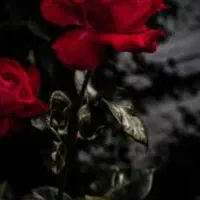 راهنمایی