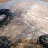 کاه|خدمات باغبانی و درختکاری|کلاشی, |دیوار