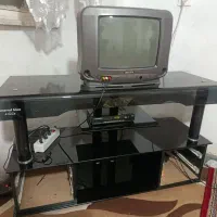 تلویزیون