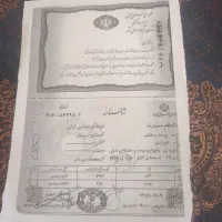 گمشدن یک عدد شناسنامه