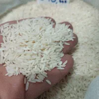 برنج طارم درجه یک