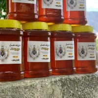 عسل زعفرانی|خوردنی و آشامیدنی|شیراز, فرگاز|دیوار