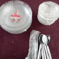 بشقاب و کاسه و دیس پلو
