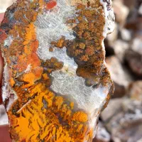 عقیق شجر سه قلعه خراسان|جواهرات|رفسنجان, |دیوار