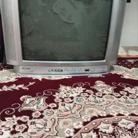 تلویزیون