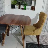 میزناهارخوری|میز و صندلی غذاخوری|بندر گز, |دیوار