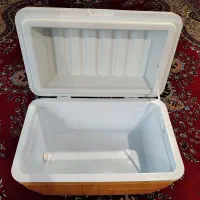 یخدان مسافرتی