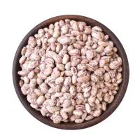 حراج لوبیا چیتی محلی