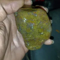 کهربای باستیک اقیانوس