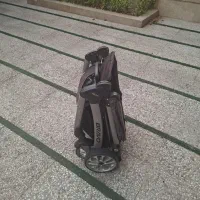 کالسکه چیکو اصل