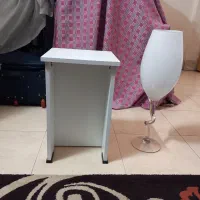 میزوجاگلدانی