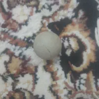 سنگ