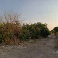 فروش-باغ-1000-متری