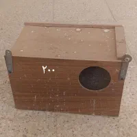 قفس،لونه،نردبان،ملزومات قفس پرنده|لوازم جانبی حیوانات|برخوار, |دیوار