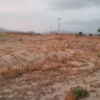 مسکن