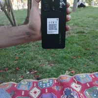 شیامی پوکوc۶۵در حد